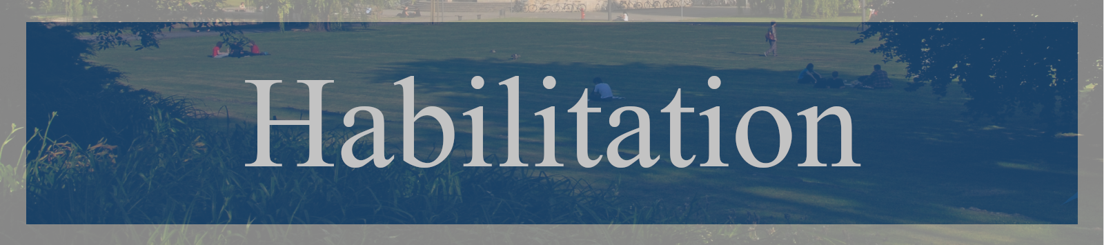 Habilitation