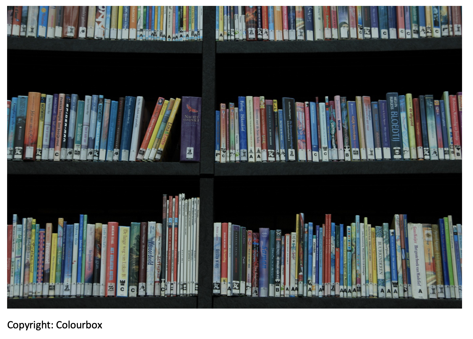 IEAS DID Stefanie Frisch