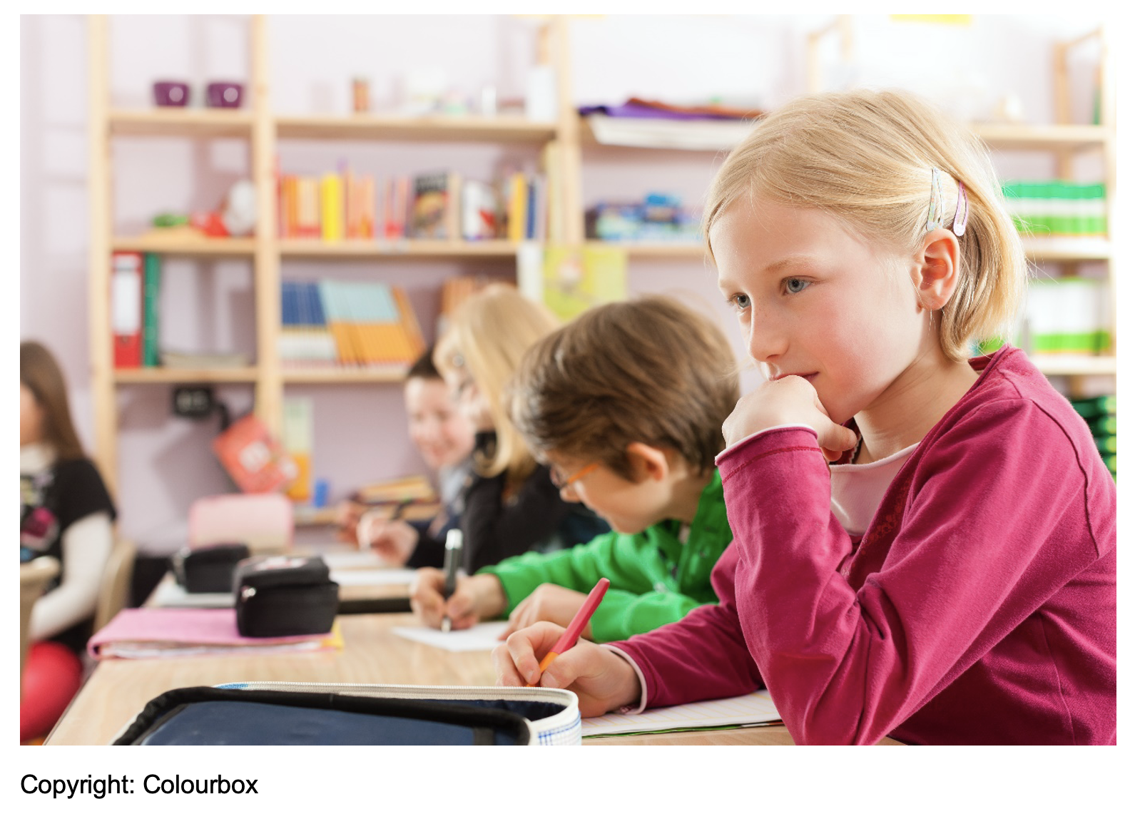 IEAS DID Stefanie Frisch