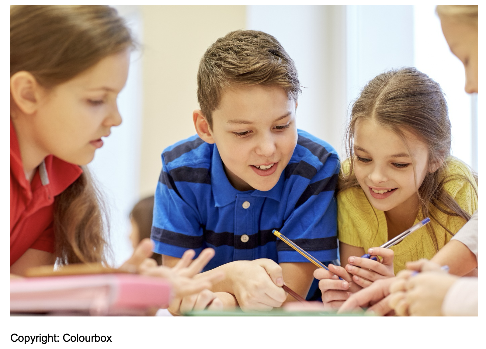 IEAS DID Stefanie Frisch