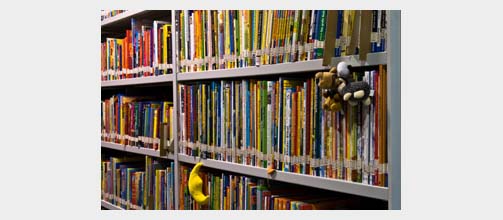 Bibliothekbild